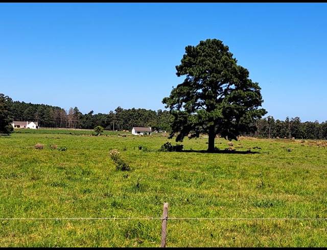 FARM FOR SALE IN TSITSIKAMMA